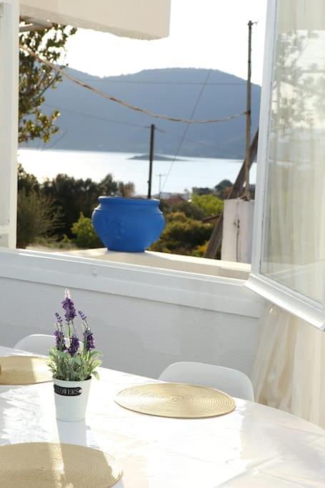 White Villa In Olive Trees And Seaview To Panagia Almiropótamos Eksteriør billede