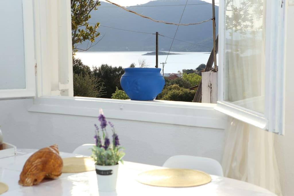 White Villa In Olive Trees And Seaview To Panagia Almiropótamos Eksteriør billede
