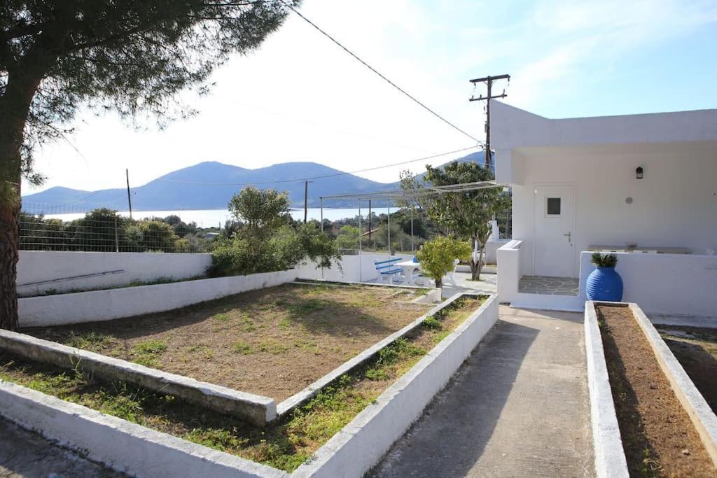 White Villa In Olive Trees And Seaview To Panagia Almiropótamos Eksteriør billede