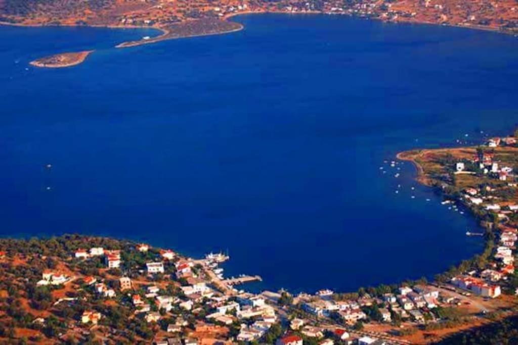 White Villa In Olive Trees And Seaview To Panagia Almiropótamos Eksteriør billede