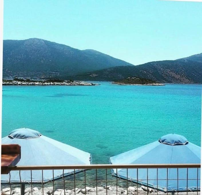 White Villa In Olive Trees And Seaview To Panagia Almiropótamos Eksteriør billede
