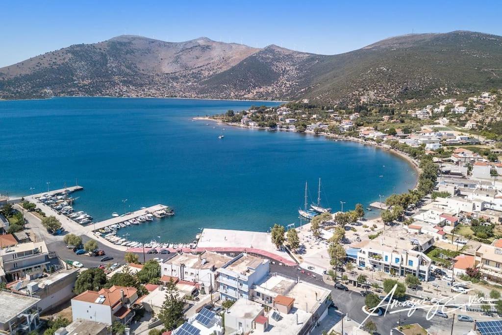 White Villa In Olive Trees And Seaview To Panagia Almiropótamos Eksteriør billede